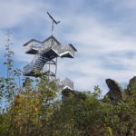 Wanderung mit Loreleyblick und Blauflügeliger Ödlandschrecke