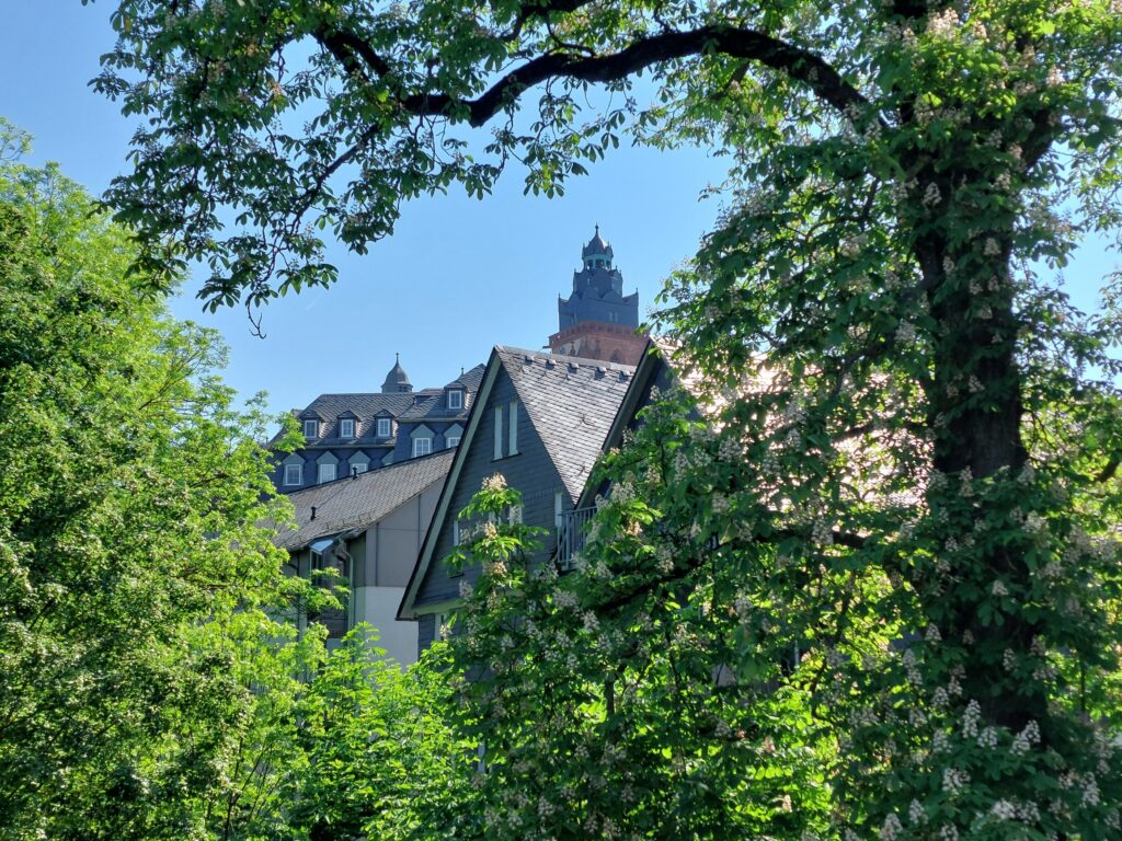 Altstadt von Wetzlar durch Bäume gesehen, bemerkenswert die blühende Kastanie und die Turmhaube des Doms