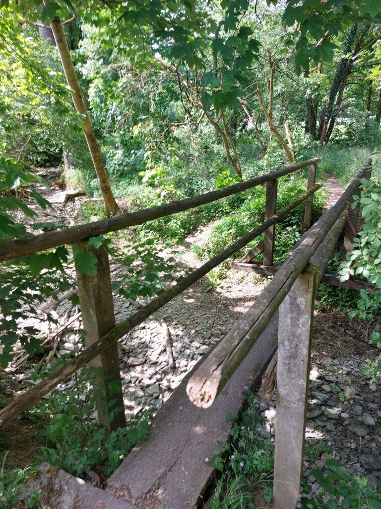 Baumbrücke über die Pöppelsche
