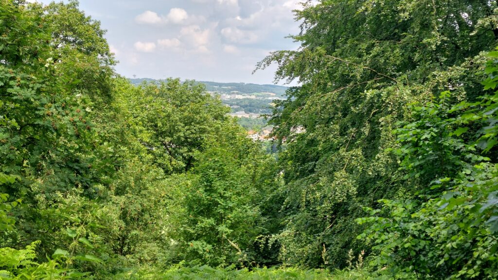 Blick von der Kaiser Wilhelm Höhe nach Nordost