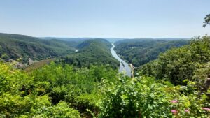 Mehr über den Artikel erfahren Statt Fernreise Sommerurlaub im Saarland